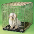 Cllapsible Pet Carrier