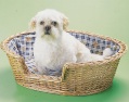 pet Basket