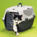 Pet Carrier