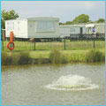 Well-stocked coarse fishing pond