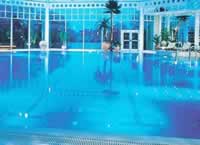 Hilton Birmingham Metropole Hotel Pool