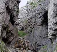 Goresdale Scar