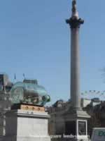 Ship in Bottle & Nelsons Column