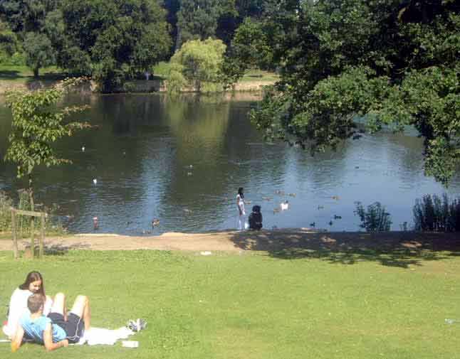 The small lake, the kids love feeding the wild birds