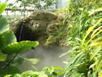 Tropical World 10